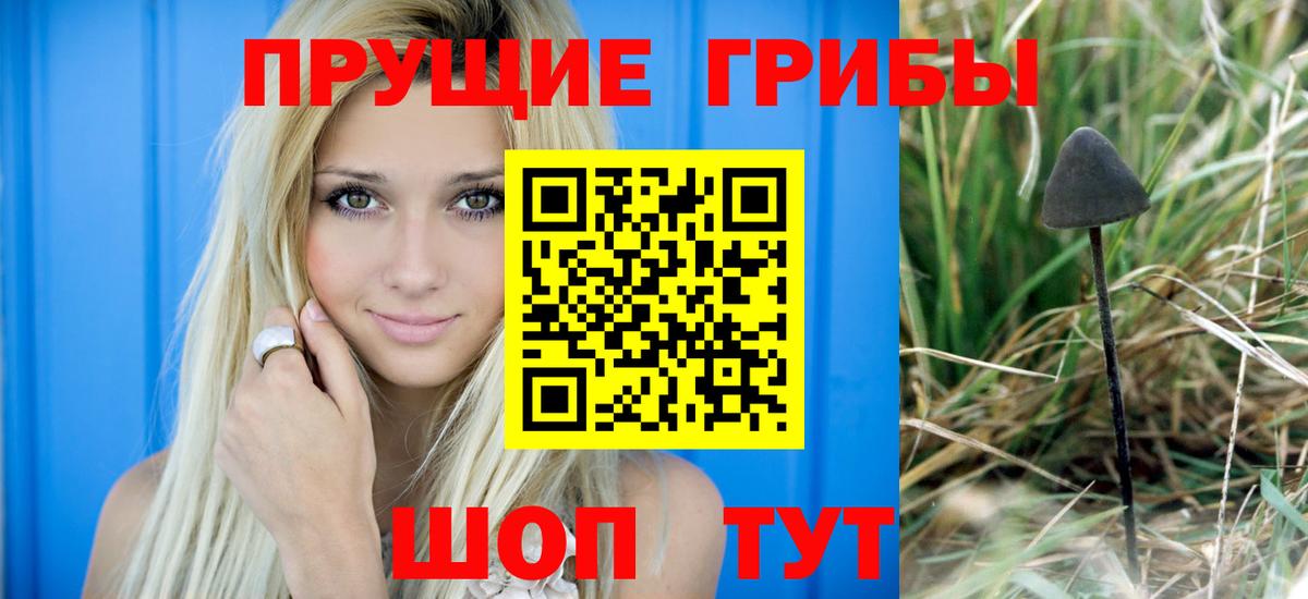 магазин продажи   Псилоцибиновые грибы MAGIC MUSHROOMS  Вход с VPN  Корсаков 