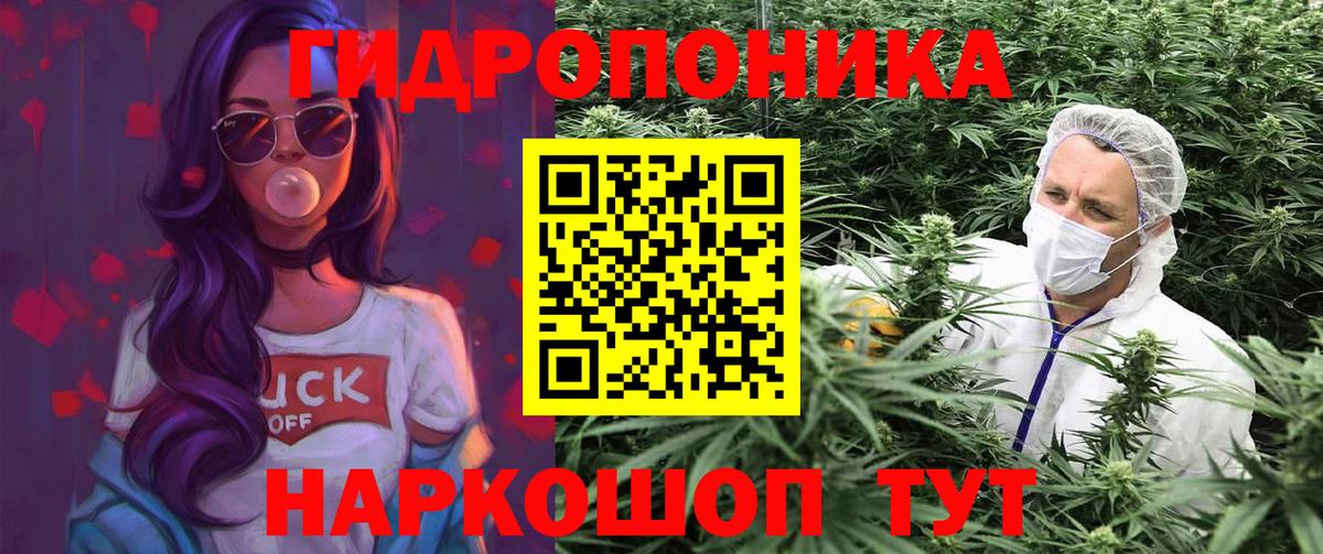 Бошки Шишки сатива  Канабис план  Вход с VPN  Бошки марихуана Amnesia  Корсаков 